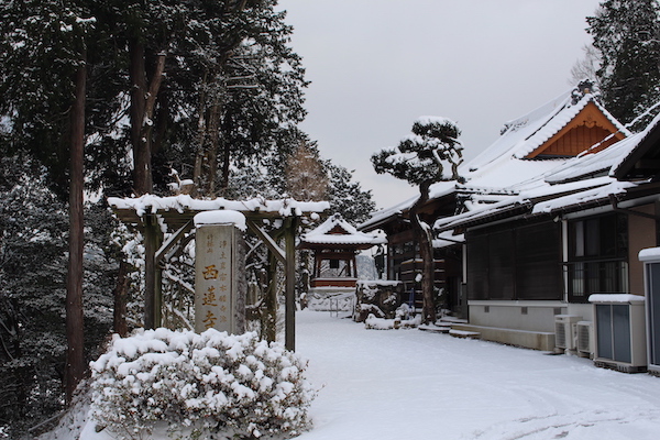 久しぶりの大雪です